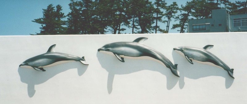 カマイルカ越前松島1997