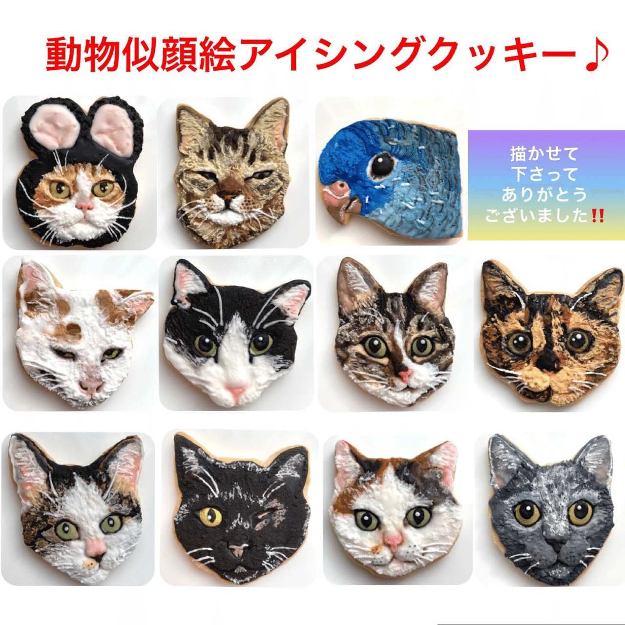 動物似顔絵アイシングクッキーフレーム 第2弾 スイーツ作家ゆかりん Note 動物似顔絵アイシングクッキーフレーム 第2弾 スイーツ作家ゆかりん Note