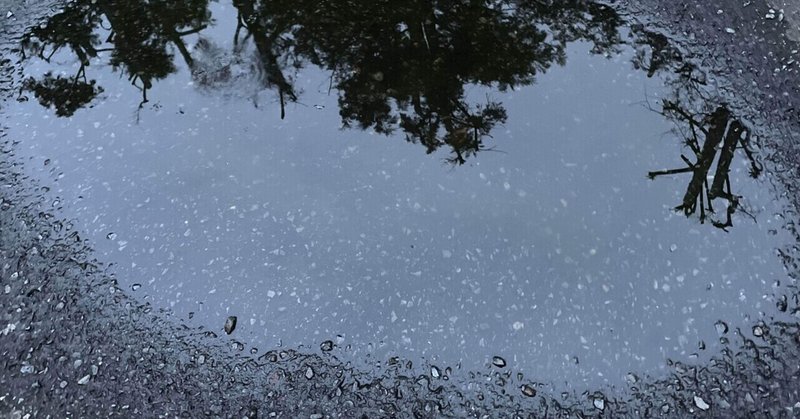 「アメンボの水たまり」