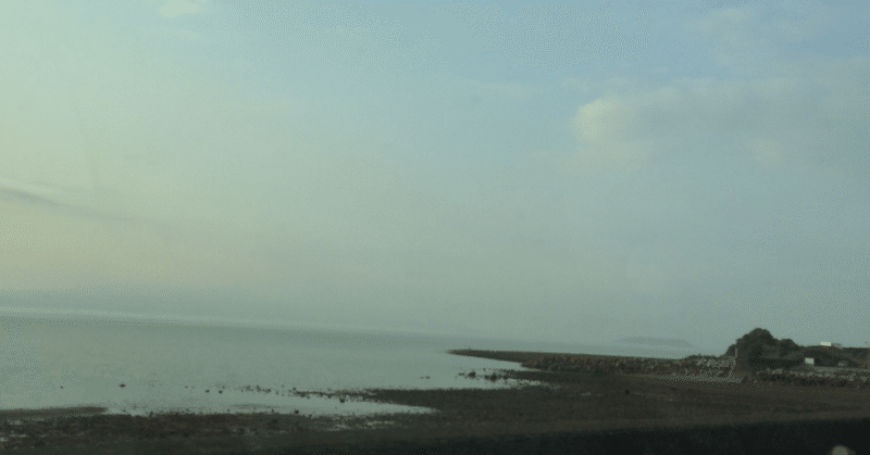 ハリネズミと金貨 Mi Note