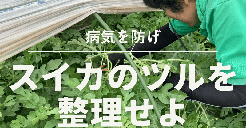 特別なスープをあなたにあげる の新着タグ記事一覧 Note つくる つながる とどける 特別なスープをあなたにあげる の新着タグ記事一覧 Note つくる つながる とどける