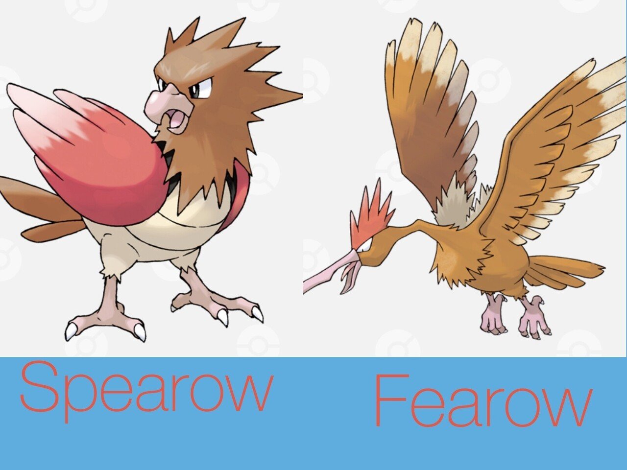 ポケモンの英語名全部覚える日記 第1世代前編 リユルン Note