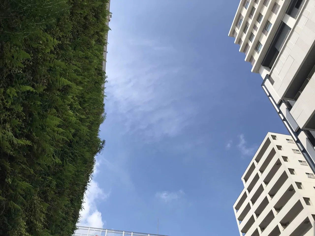 日頃 の 行い が 良い 人 _ 日頃の行いが悪い , 日頃の行いが良い人と悪い人の特徴 – FIEYNX