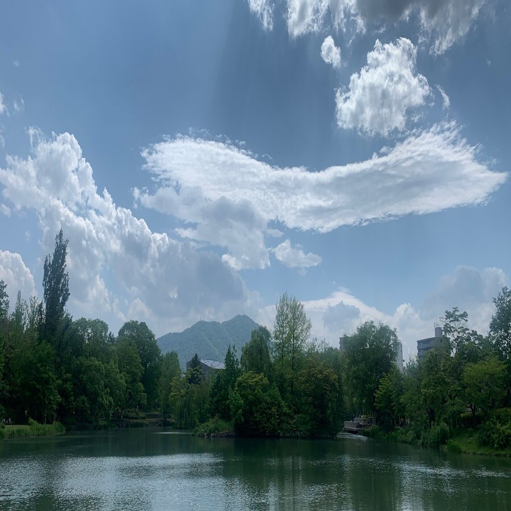 札幌市内名所 風情あふれる中島公園の夏｜ユウイチ@旅と女と人生哲学