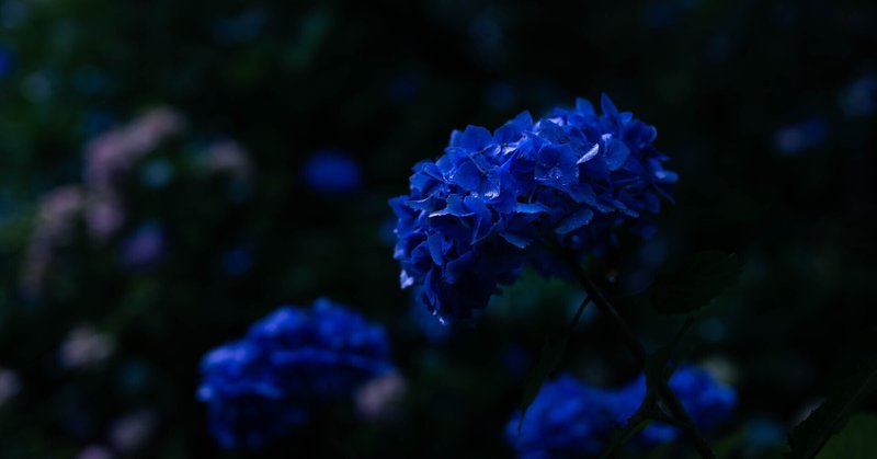 Eternal blue-わたなべさき-