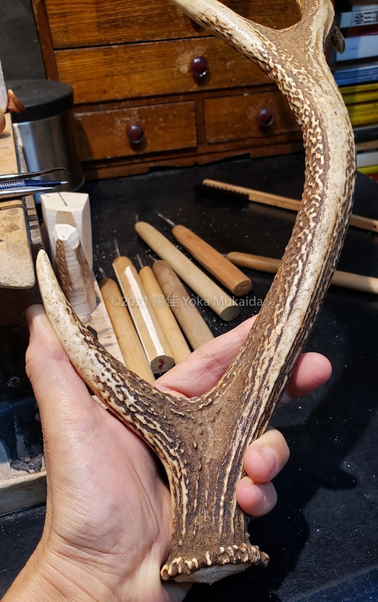 鹿の角 の中から カタツムリ と 柄杓 を 根付師 陽佳 Yoka Mukaida Note 鹿の角 の中から カタツムリ と 柄杓 を 根付師 陽佳 Yoka Mukaida Note