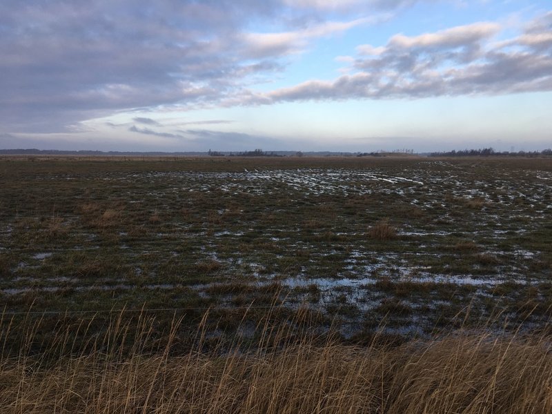 湿地に眠る皮製品 あんそろぽろじすと Note