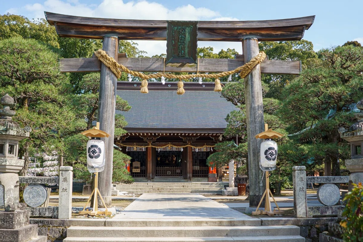 画像5