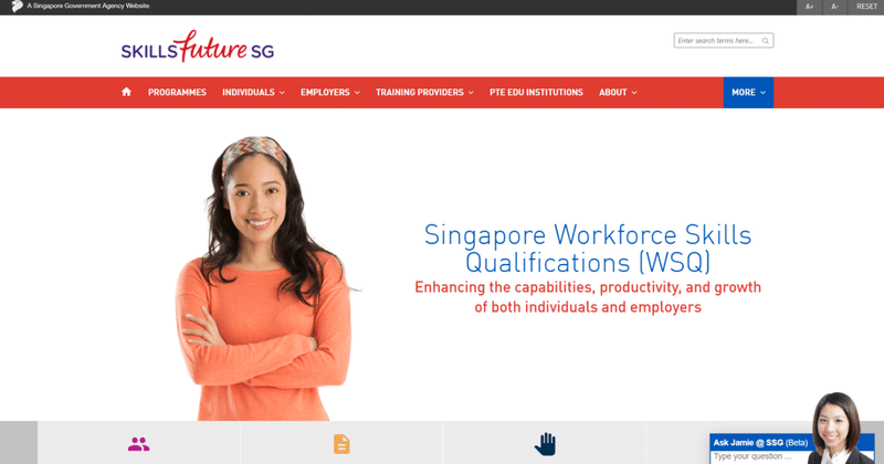 シンガポール技能資格認定制度wsqと 日本版wsq 実現に向けて 池田祐輔 Alue Note