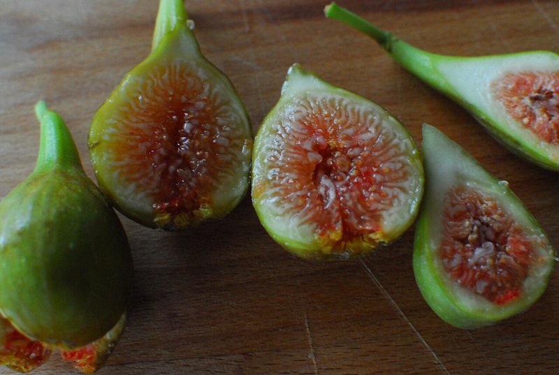Fig Varieties O Rourke オルーク 世界のいちじく育てよう まるはち果実園 Note Fig Varieties O Rourke オルーク 世界のいちじく育てよう まるはち果実園 Note