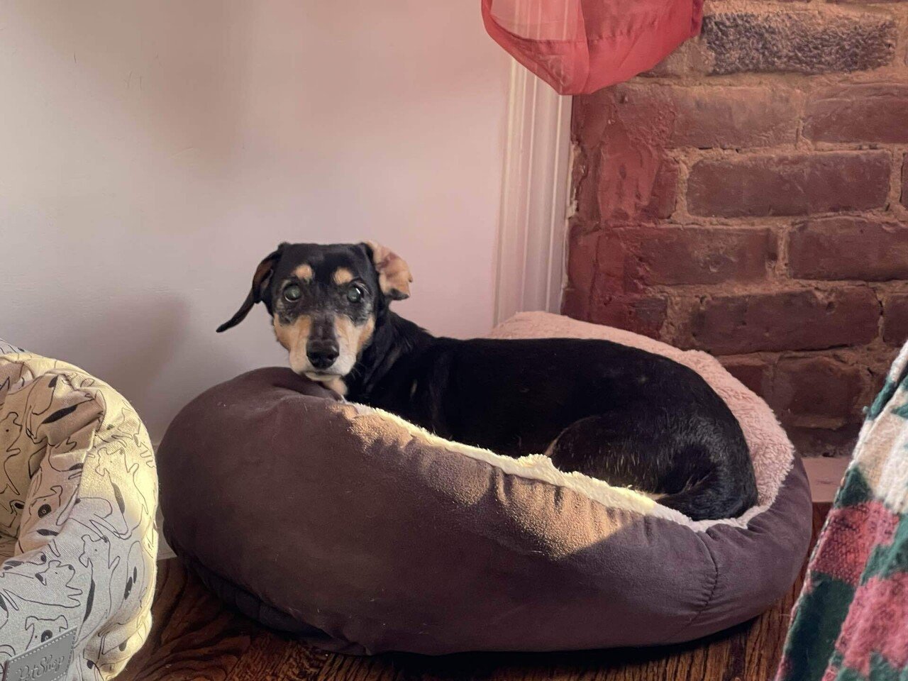 Spin The Wheel The Rest Will Come Senri Oe 大江千里 Note