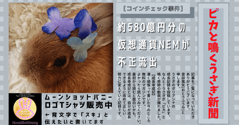 脅迫で仮想通貨ビットコイン Btc を要求するセクストーション迷惑メールの正しい5つの対応方法は