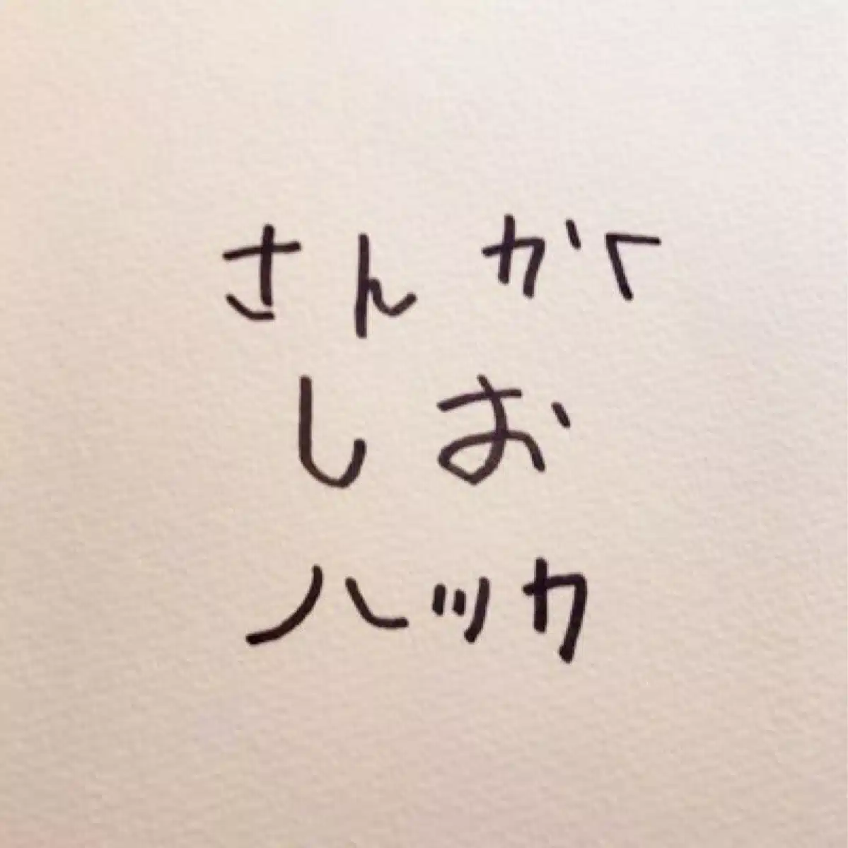 さんかくしおハッカ