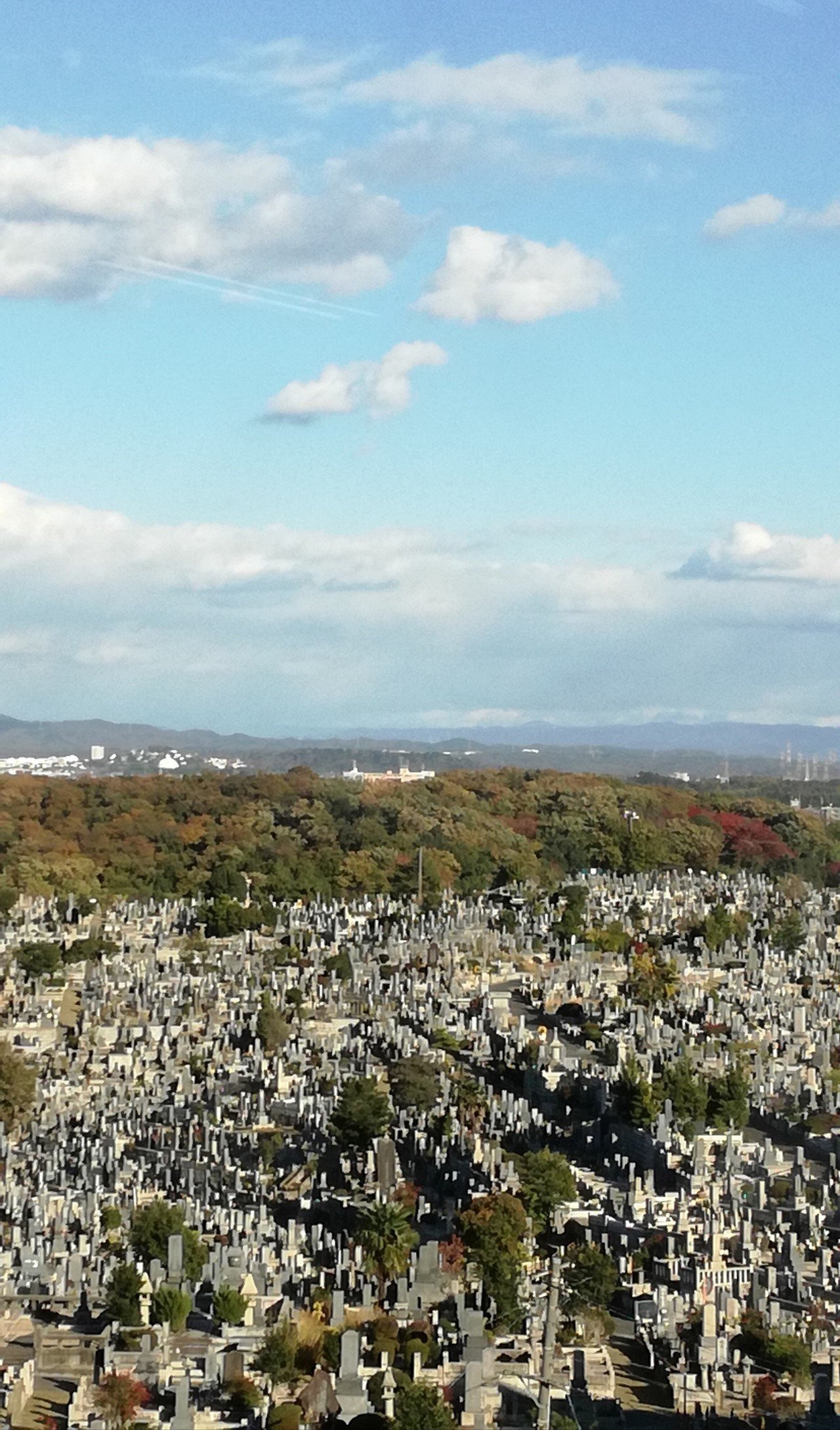 八事霊園 名古屋 午後｜三浦陽一