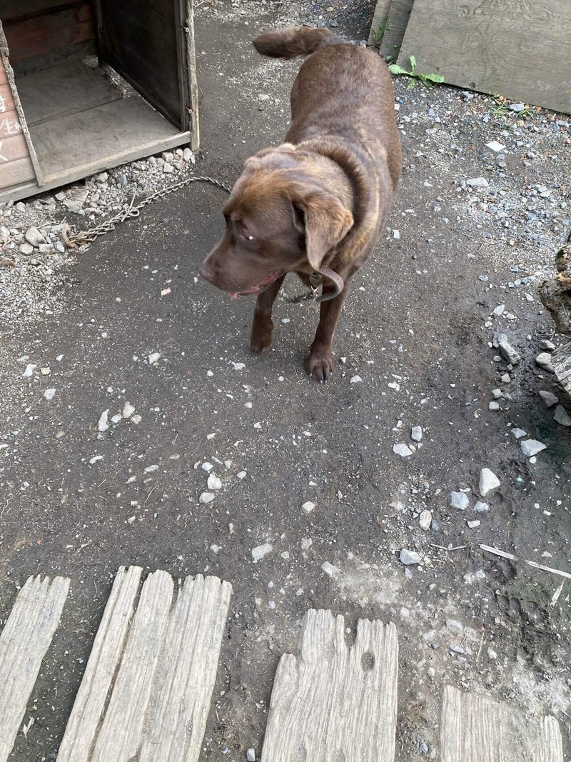 中学美術 フラッシュバック 旅ノリ Note 中学美術 フラッシュバック 旅ノリ Note