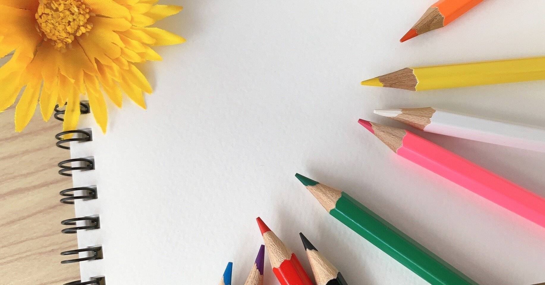 Saiとクリスタの特徴 ミサキ Note