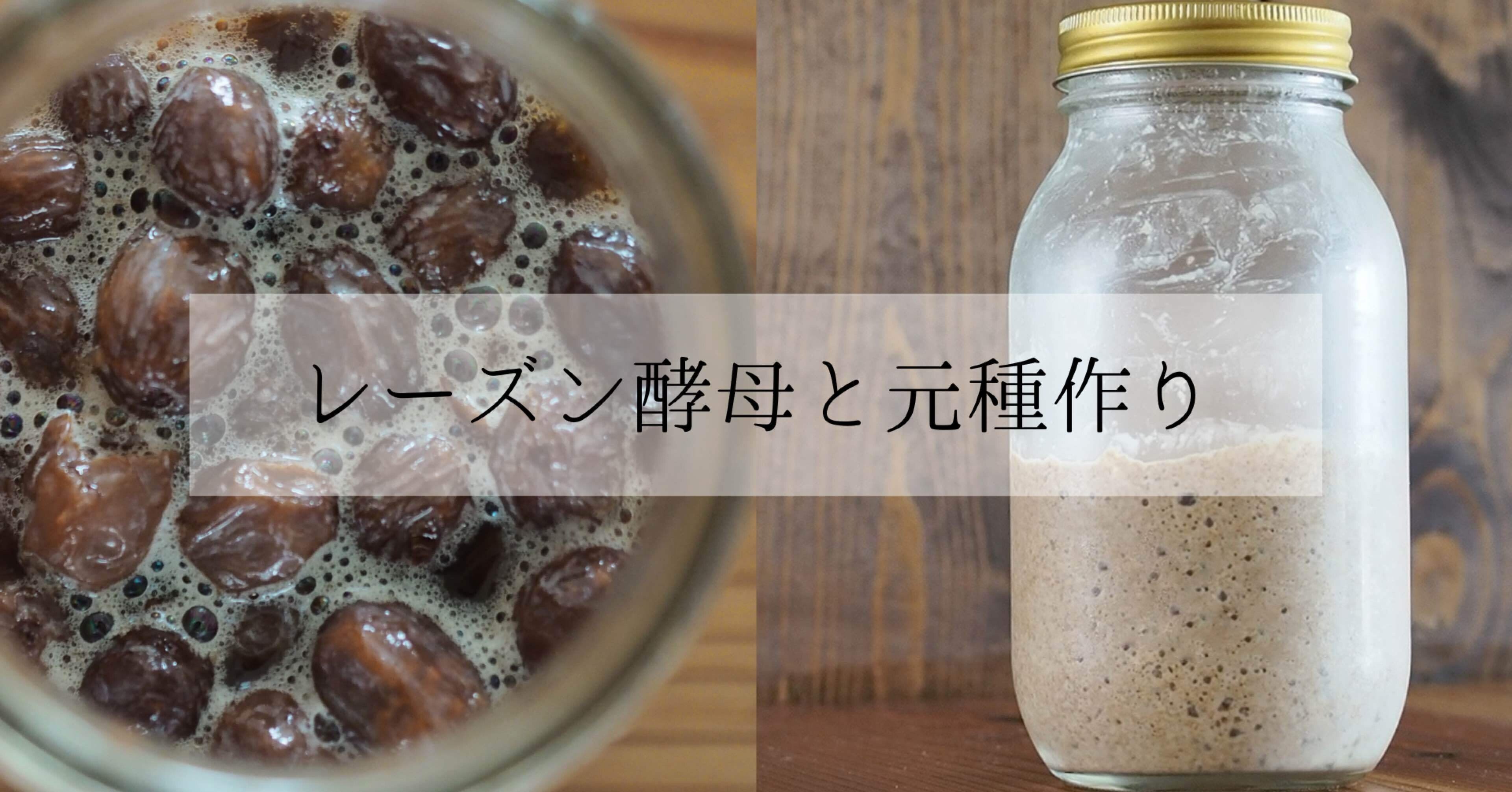 初めてでも簡単 自家製レーズン酵母液と元種の作り方 動画あり Cobo Note