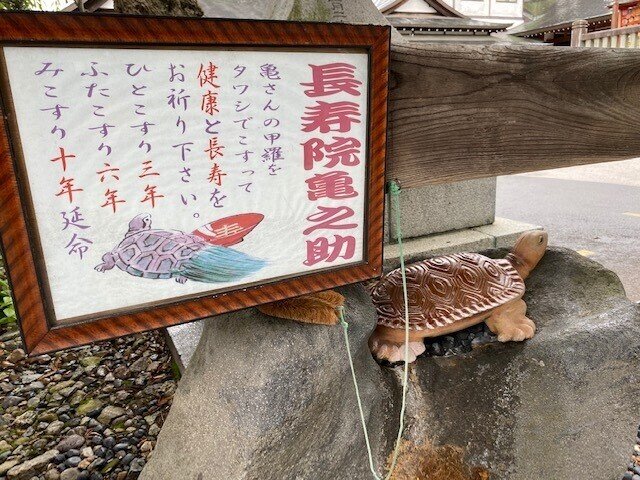 くめさんと行った ザ スライドショー15 いとうさん 呼び出してごめん 紀行 紅豆琴行 Note