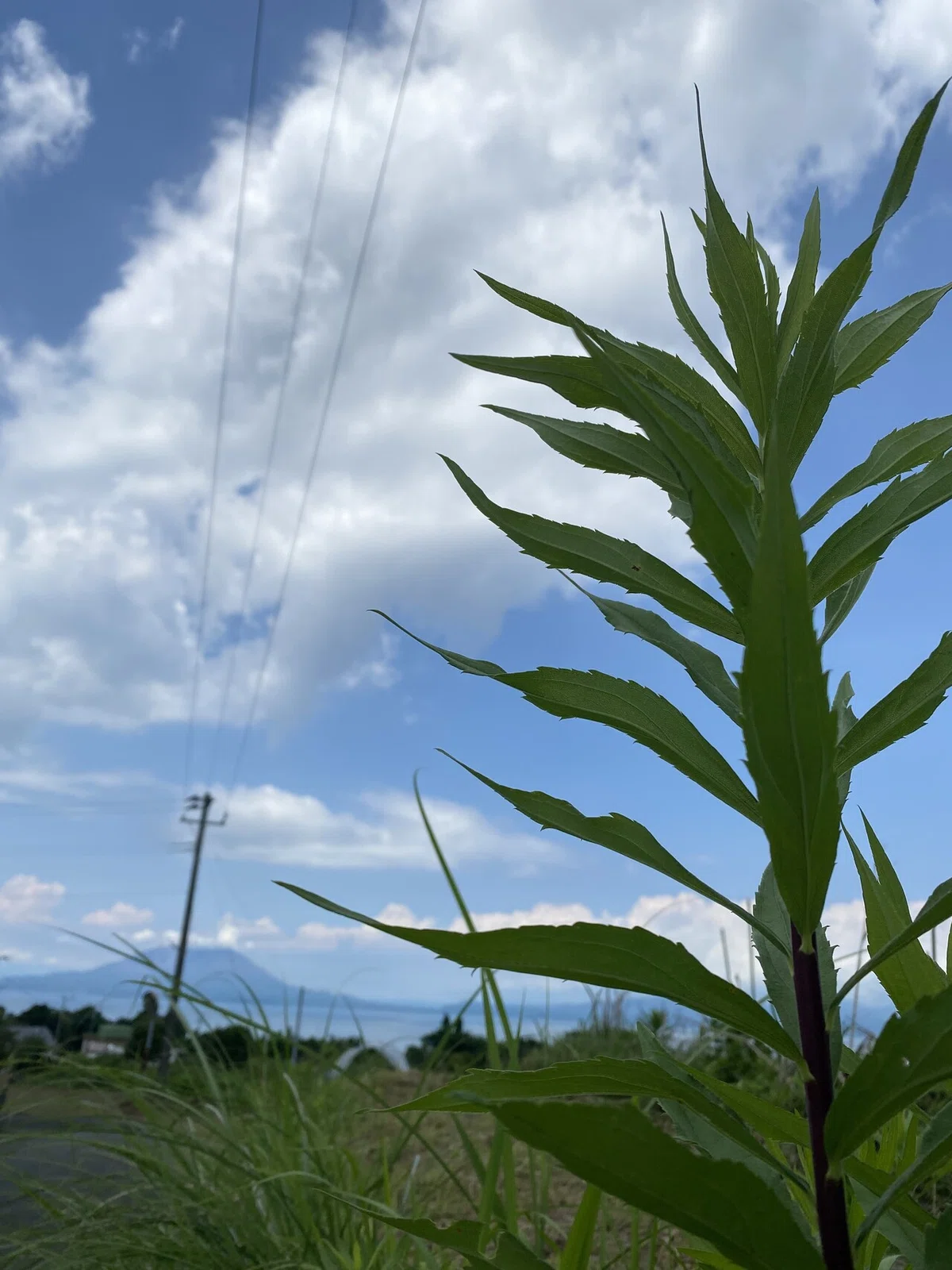 画像11