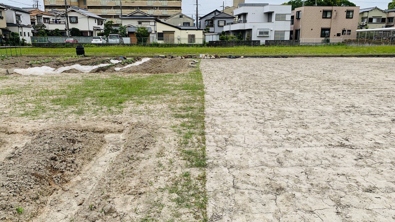 カチカチの土から始まった畑づくり 武庫之のうえん 21年4 6月の記録 武庫之のうえん Note カチカチの土から始まった畑づくり 武庫之のうえん 21年4 6月の記録 武庫之のうえん Note