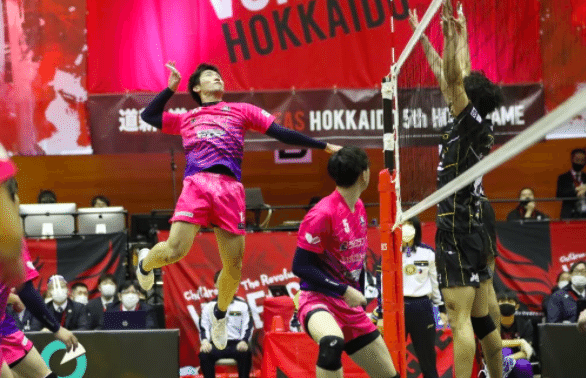 兼業・副業Vリーガー 埼玉AZALEA(アザレア) #17 茂木祐太｜兼業
