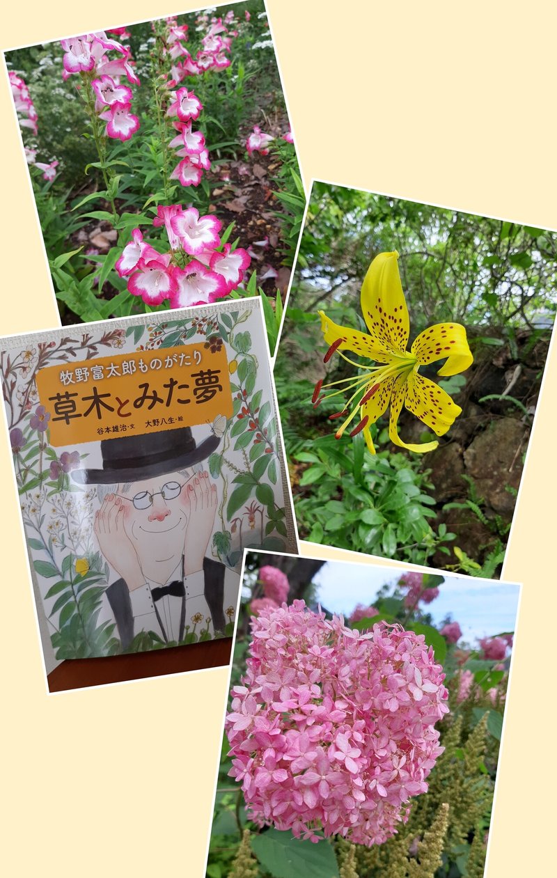 ミント Green Calendar By Note ミント Green Calendar By Note