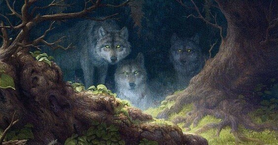 a6b3b5198a32bbf16aae9de0bab155