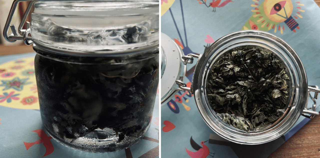 ミントはしっかり収穫 ミントを大量消費する方法3つ ケアアイテム編 ころのにわ 自然菜園 Note ミントはしっかり収穫 ミントを大量消費する方法3つ ケアアイテム編 ころのにわ 自然菜園 Note