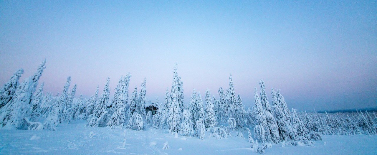 八甲田山雪中行軍 におけるサバイバル指南 Yuki 農ときどき旅 Note