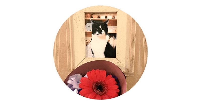 猫店員2