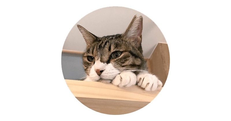猫店員3