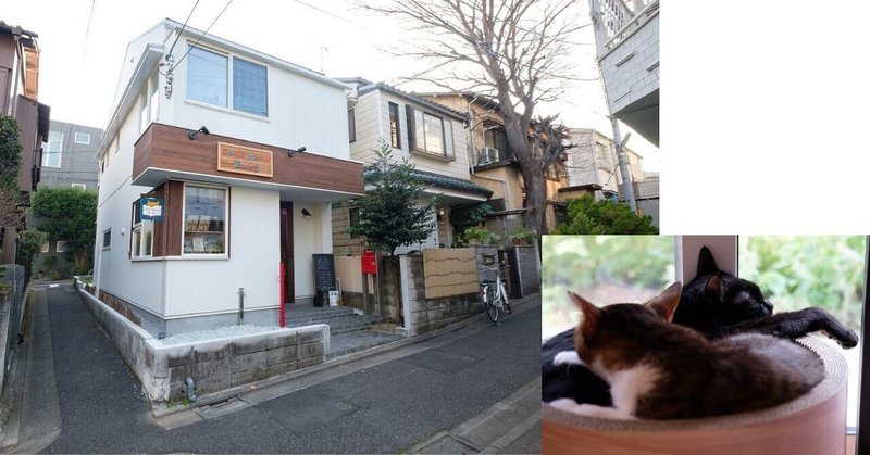 猫本屋写真1