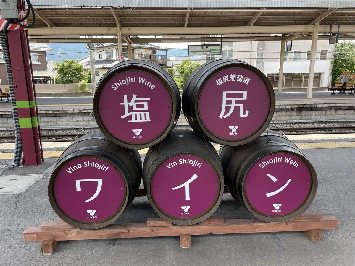 画像7