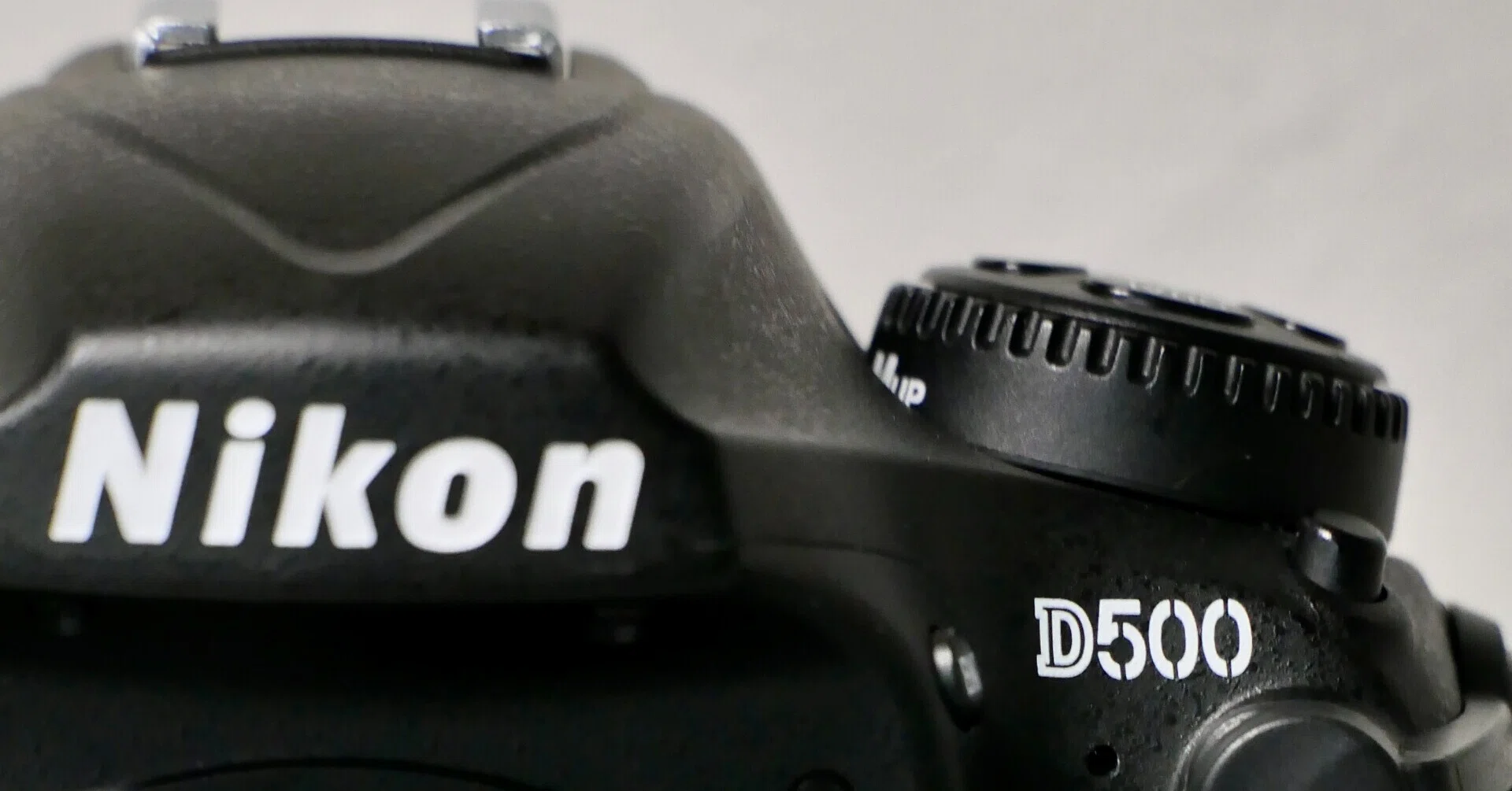機材レビュー】Nikon D500｜鷺