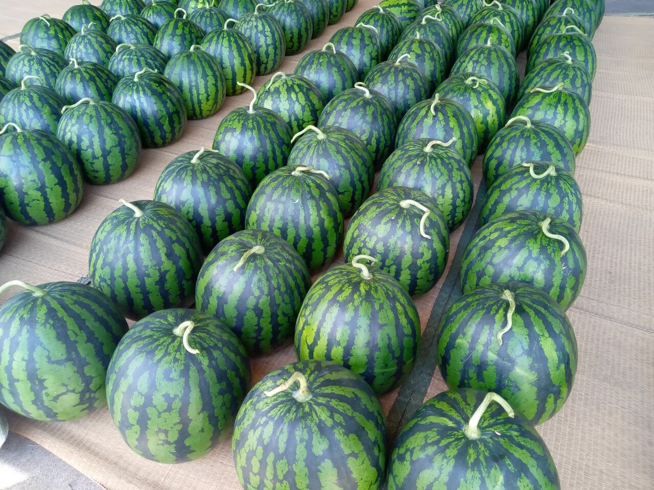 Suika スイカ すいか Kaka Note