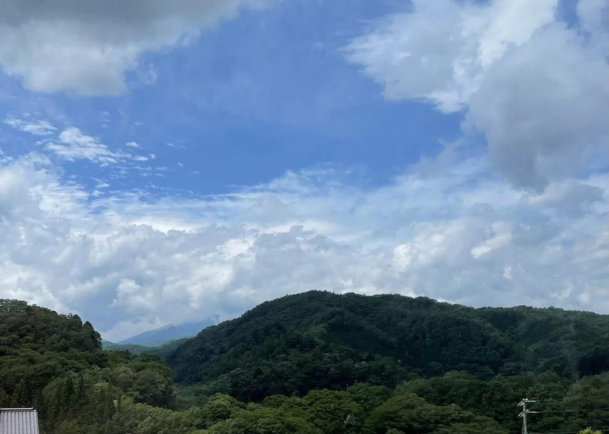 画像15