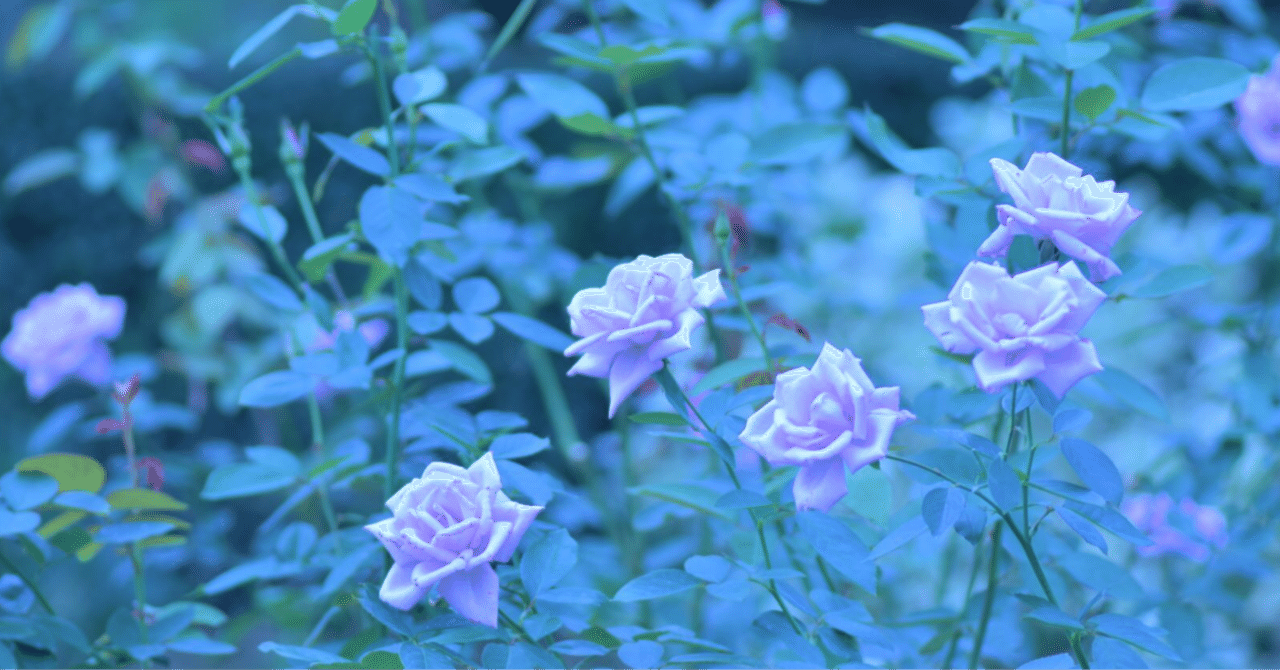 絵画 青いバラ 薔薇 10号 花言葉は夢が叶う