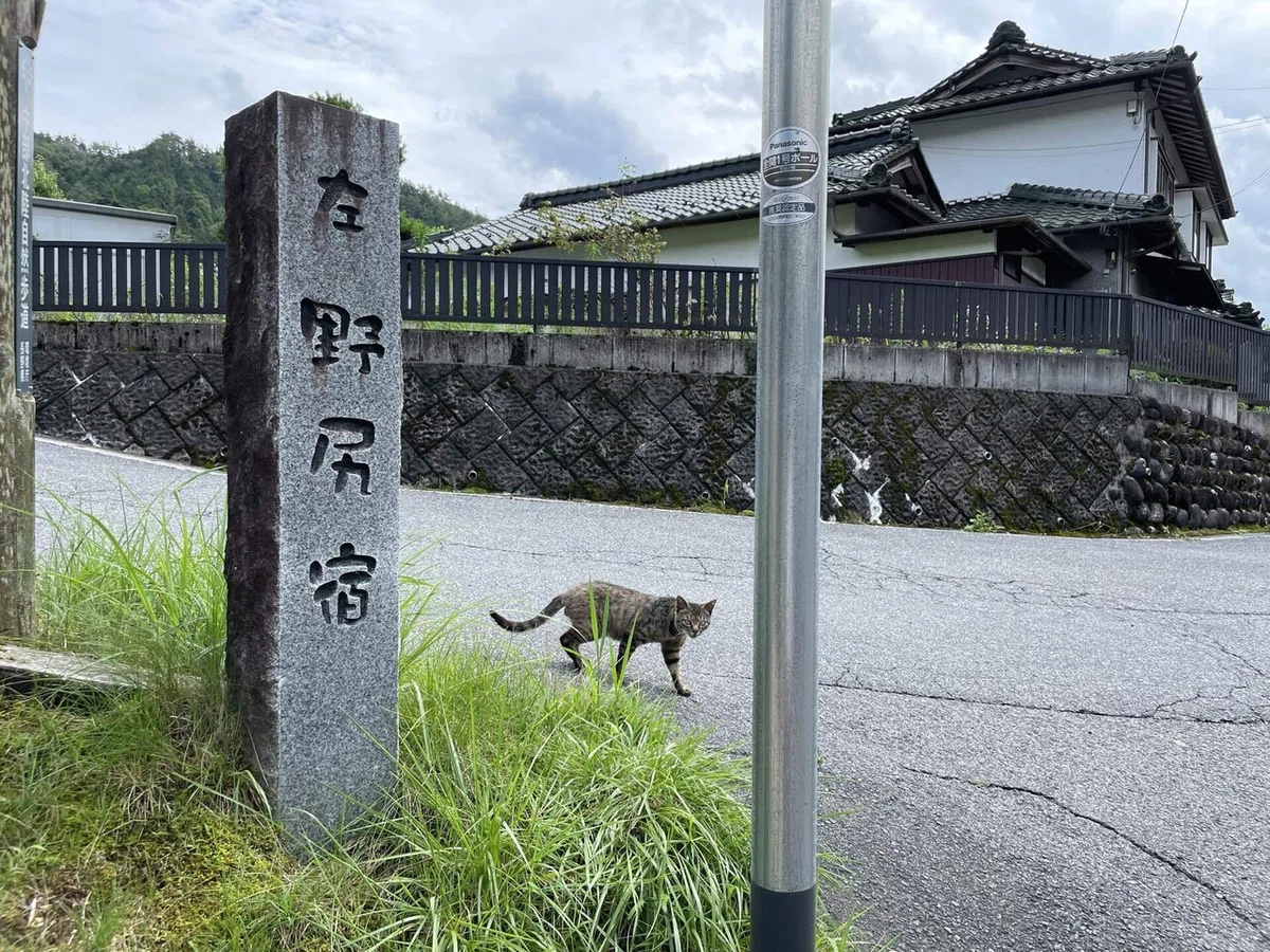 画像28