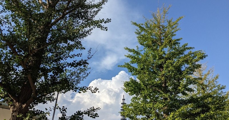 桑田佳祐さん新曲 Soulコブラツイスト 魂の悶絶 の歌詞を味わう める Note