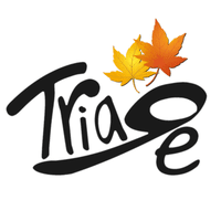 ポケモンユナイトのpc版はいつリリース Team Triage Note