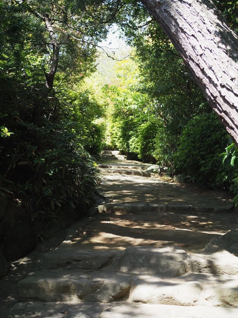 画像13