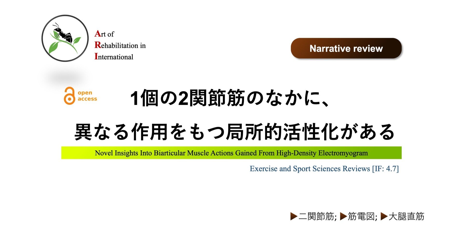 1個の2関節筋のなかに 異なる作用をもつ局所的活性化がある Super Human Note 1個の2関節筋のなかに 異なる作用をもつ局所的活性化がある Super Human Note