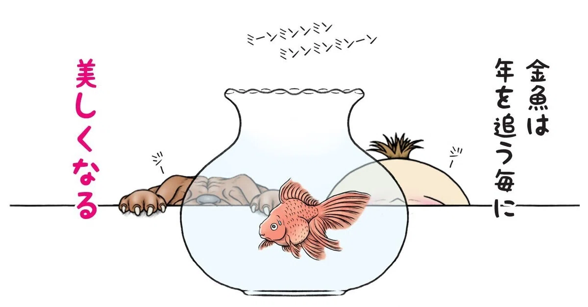 画像10