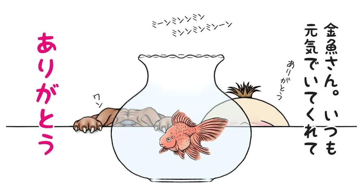画像11