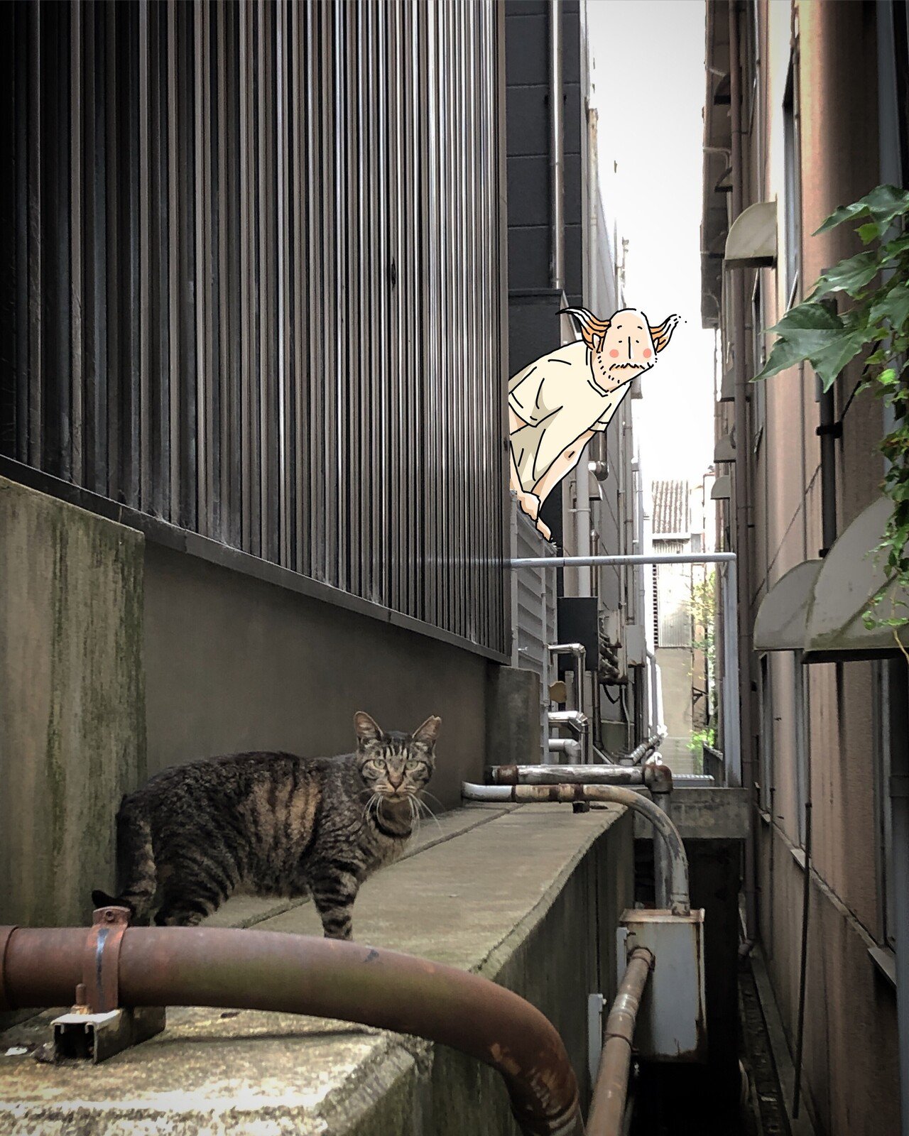 朝礼 自然界では猛獣のネコ科 の動物だが なぜ身の回りのイエネコたちはかくも穏やかなのか もしかしたら牙をむいて反乱を起こすチャンスを窺っているのではあるまいか 今日はマンガ マンガ マンガで本気出す にぎりこぷし Note 朝礼 自然界では猛獣のネコ科 の動物だが なぜ身の回りのイエネコたちはかくも穏やかなのか もしかしたら牙をむいて反乱を起こすチャンスを窺っているのではあるまいか 今日はマンガ マンガ マンガで本気出す にぎりこぷし Note
