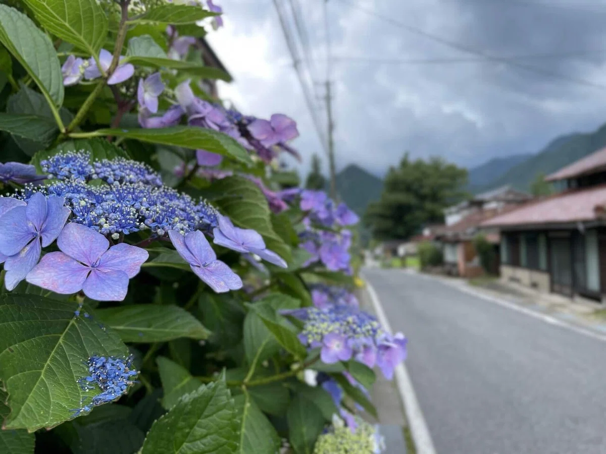 画像47