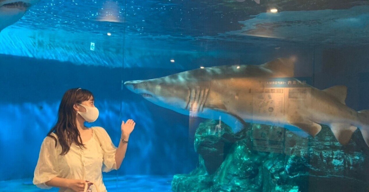 東京名水族館 しながわ水族館の見どころ紹介 イルカもアシカもペンギンも しおり 博物館 水族館ガイド Note 東京名水族館 しながわ水族館の見どころ紹介 イルカもアシカもペンギンも しおり 博物館 水族館ガイド Note
