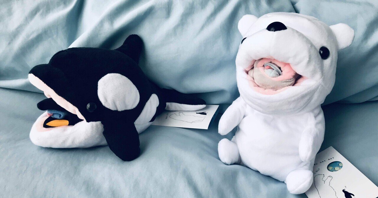 かわいい食物連鎖ぬいぐるみ のこのこ 教育 Note