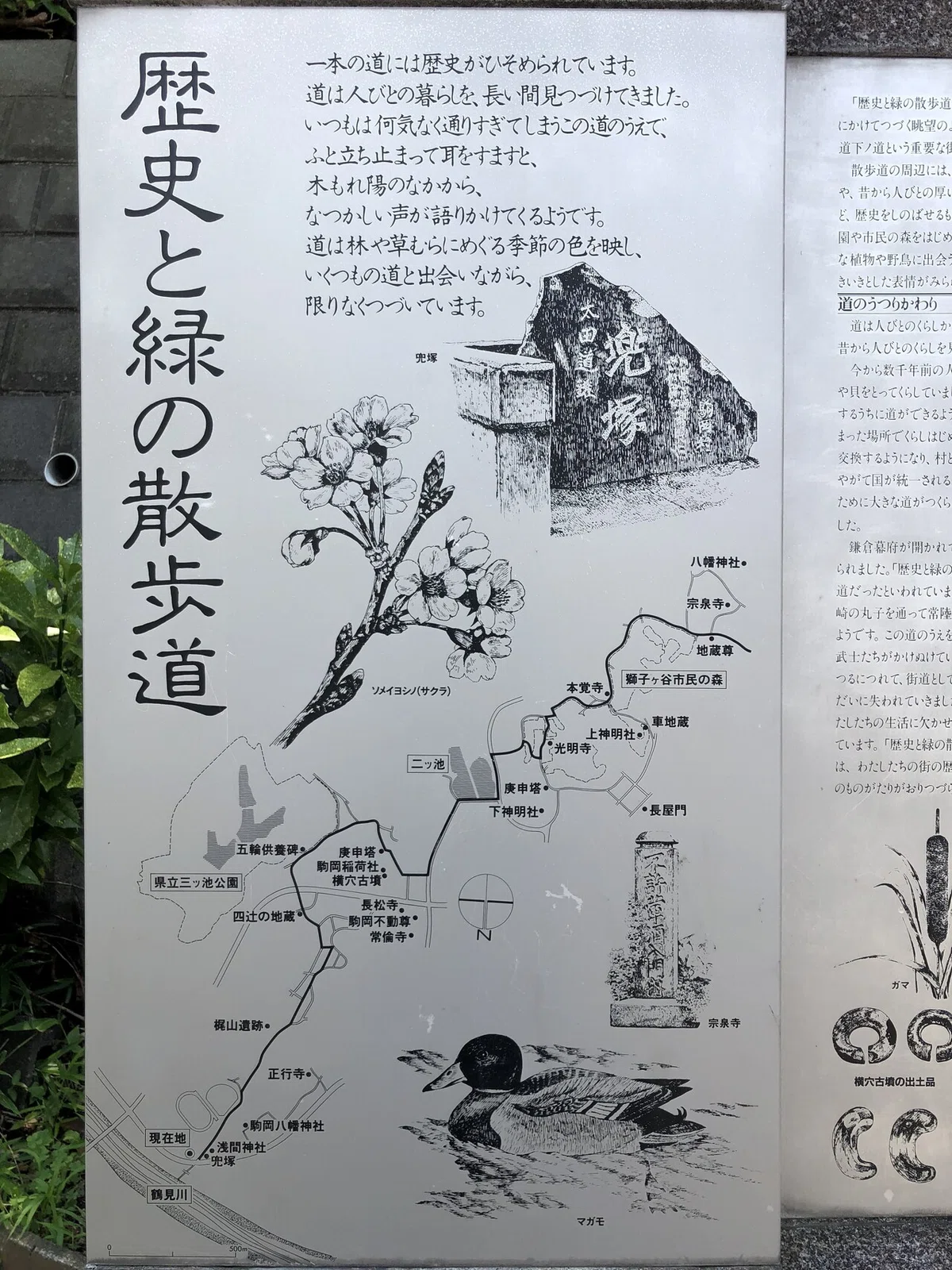 画像22