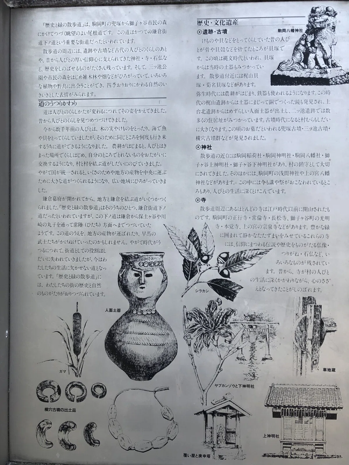 画像23
